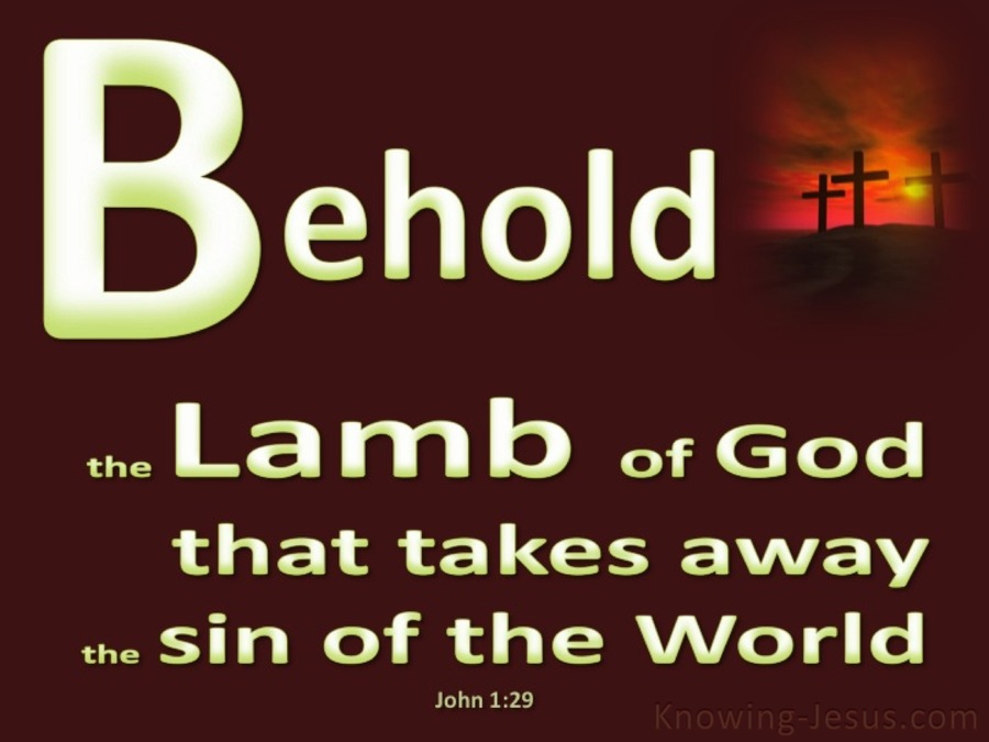 John 1:29 Behold, The Lamb Of God (brown)